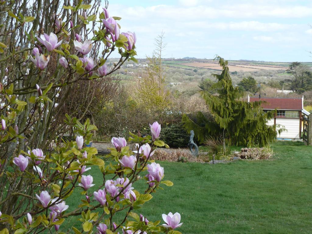 The White Cottage B&B Saint Teath Exterior photo